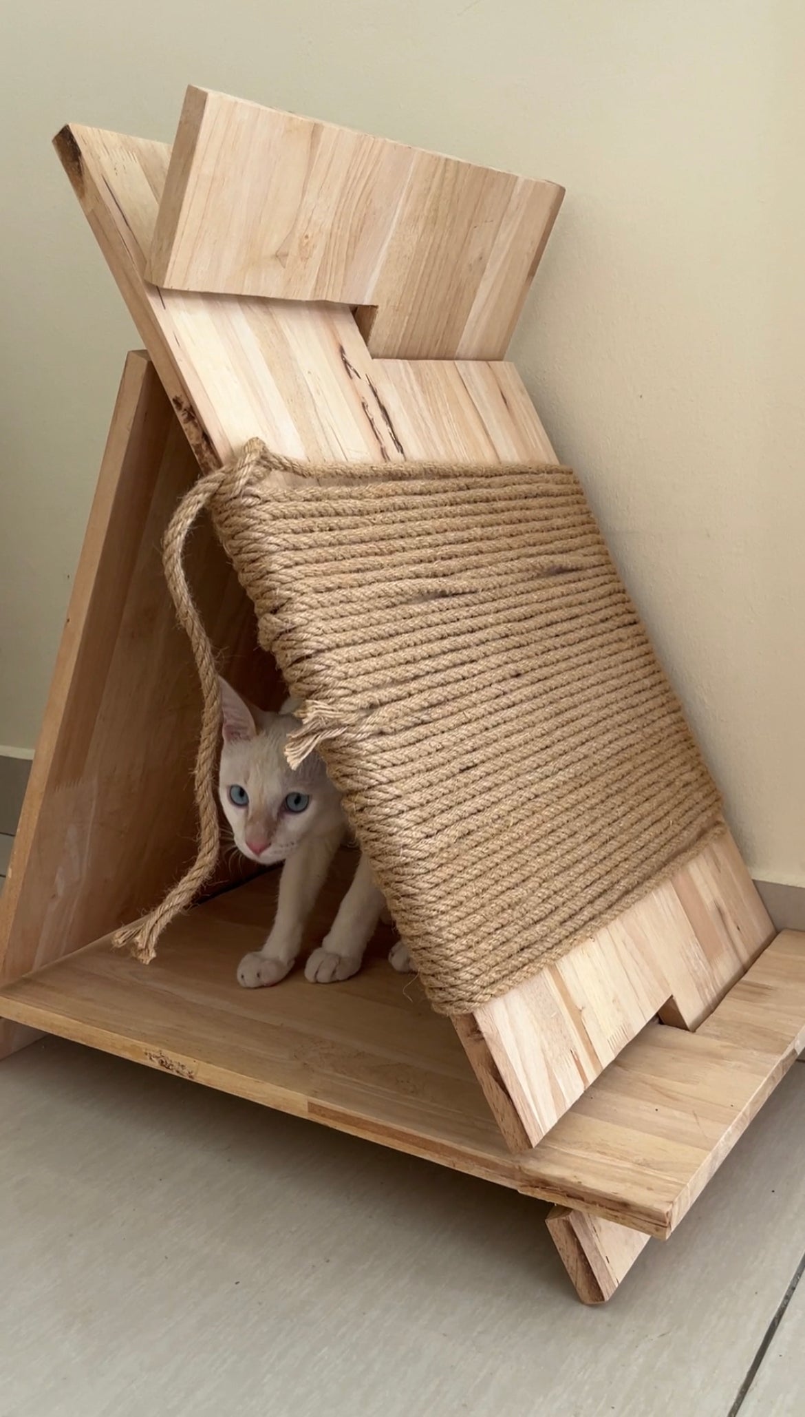 DIY CAT TEEPEE - WOMEN ONLY WORKSHOP – AIDA IHSANI